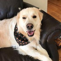 Michael J Kanios (@kaniosj) 's Twitter Profile