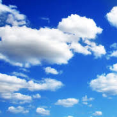 LJRou's profile picture. 