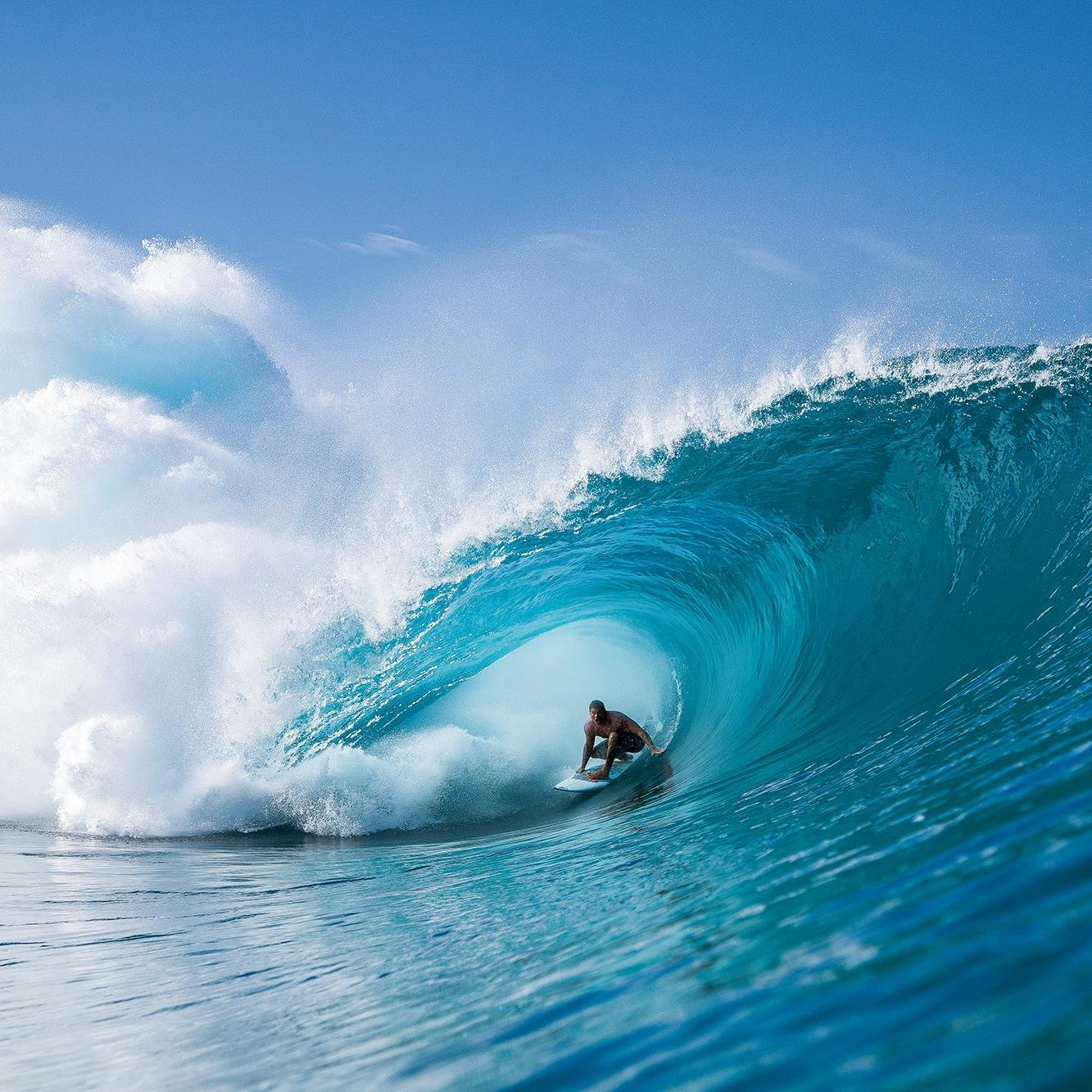 LandSaints's profile picture. 