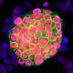 Plath Lab (@plathlab) Twitter profile photo Plath Lab (@plathlab) Twitter profile photo