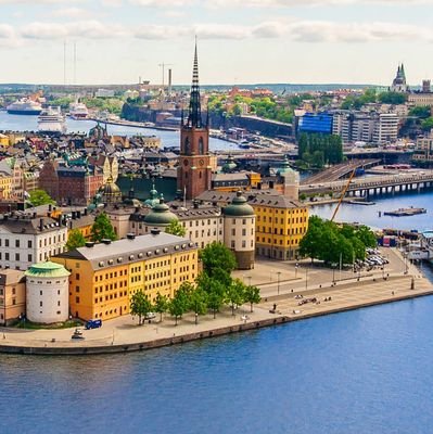 diptonguo's profile picture. 