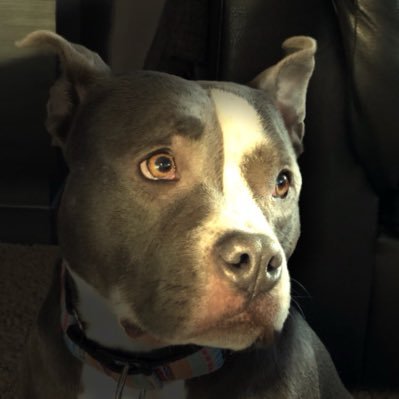 M_Colburn_'s profile picture. 