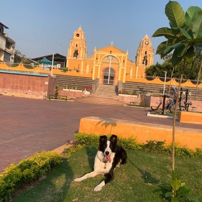 BerberNgel's profile picture. 