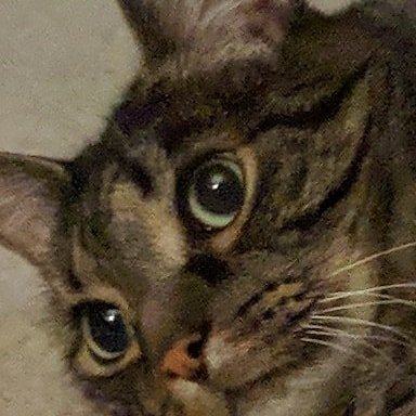 Uniorn_Tartz's profile picture. 