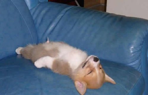 yujifung's profile picture. 