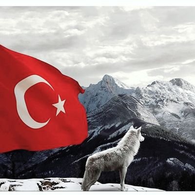 Politikadan's profile picture. Dış Politika/Uluslararası İlişkiler/Diplomasi Odaklı Son Güncel Olaylar Ve Analizler.