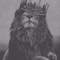 الراقي كنان (@iq_kinan) Twitter profile photo