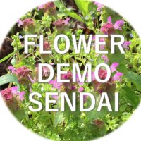 FLOWER DEMO SENDAI๐ณ๏ธโ๐ (@fd_sendai) 's Twitter Profile