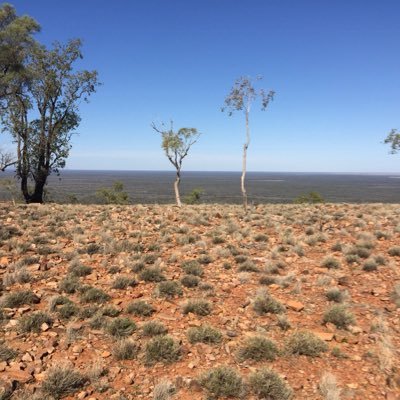 jacquiyoxall's profile picture. psychologist, academic, horse-addict