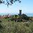castelnuovom's profile image