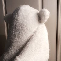 IceBear(@IceBearArizona) 's Twitter Profile Photo