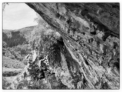 desconectad_xs's profile picture. .