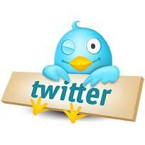 Premium WordPress Theme Analyst.