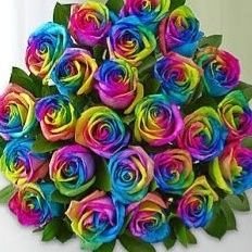 CaseySt22094136's profile picture. Feel no point tryin to help or even associate people with good, fun, smiles, or laughter no more. 
Just ain't gonna right now