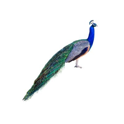 財務モデリング講座