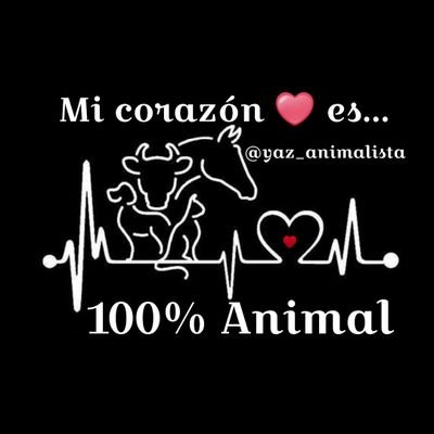 Mi❤es100%Animal tengo muchos peques🐶🐱rescatados que son parte de mi familia🐾😍 #AyudaHacerConciencia ODIO el maltrato animal🐾😡y d cualquier ser indefenso😢