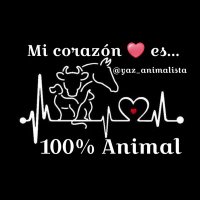 💕🐯Yaz CatDog Mex🐶💕 (@yaz_animalista) 's Twitter Profile