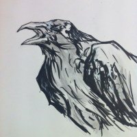 🕸🎃 purveyor of fine she¡ths 🎃🕸 (@patchoffeathers) 's Twitter Profile