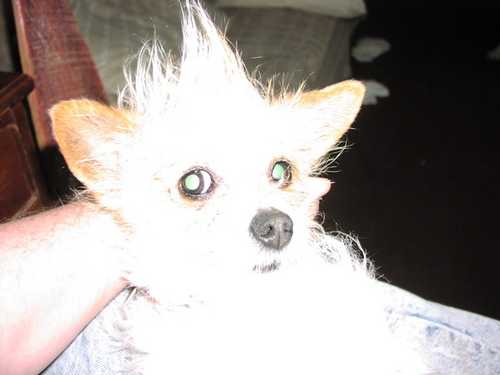 hillski's profile picture. 