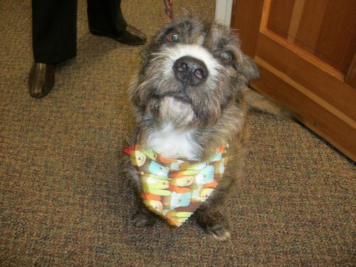 barbtronstein's profile picture. I'm a Gardner-White lifer following in my Dad's footsteps.  I appreciate Team GW and all our customers!