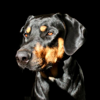 Mona Lishous (@monalishous) 's Twitter Profile Photo