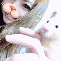 みゆき (@k_miii91) 's Twitter Profile