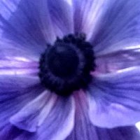 Tracey Shephard (@traceyshephard4) 's Twitter Profile