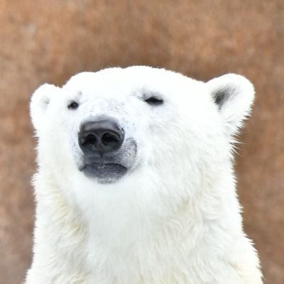 bonjourenchante's profile picture. 