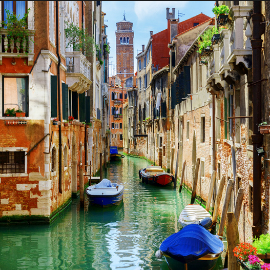 marioalocci's profile picture. 