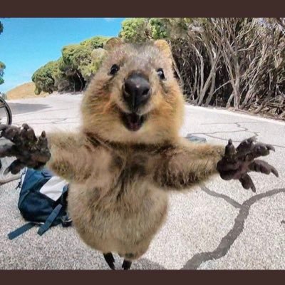 CPA110018's profile picture. 今年も頑張る年です。