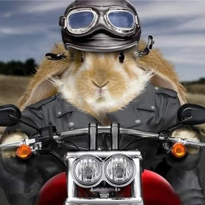 DuvalSylvie6's profile picture. 