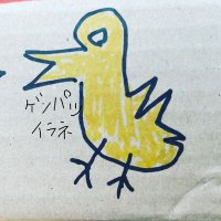 原発いらなインコ@きっしー🌈(@kishism) 's Twitter Profile Photo