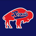 Buffalo Regals (@buffaloregalsjr) Twitter profile photo