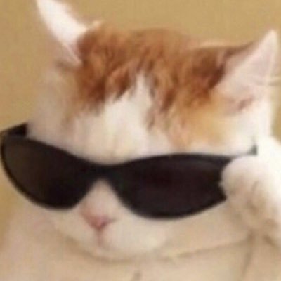 Nikita40457968's profile picture. 