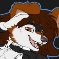 CollieButt (@cakedupcollie) 's Twitter Profile