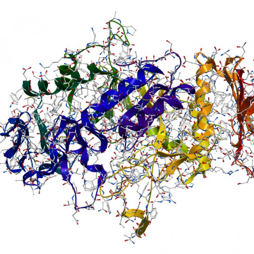 Enzymology_2k19's profile picture. 