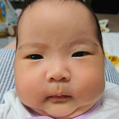 2017/6/29 母乳推奨病院で誕生。生後0日でおっぱい工場の工場長を任される。ミルクバーのオーナーでもある。社員(母)とバイト(父)と3人で日本一のパイ工場を目指す。
蝶のように舞い、蜂のように刺す授乳スタイルを極めるが、2018/9/4に社員(母)のパイは枯渇している。
2024/3/21赤ちゃん事業から撤退。