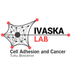 Ivaska Lab (@ivaskalab) Twitter profile photo Ivaska Lab (@ivaskalab) Twitter profile photo