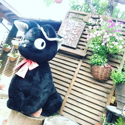 TOM27859158's profile picture. 