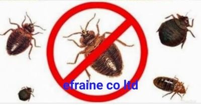 We provide fumigation services.
Call,what's up +255717247934
Instagram as efraine fumigation
Email:efrainecoltd@gmail.com