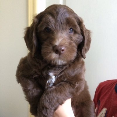 gregkerr29's profile picture. 