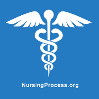 nursingprocess(@nursing_process) 's Twitter Profile Photo