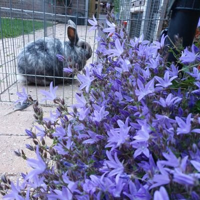 73mb's profile picture. 