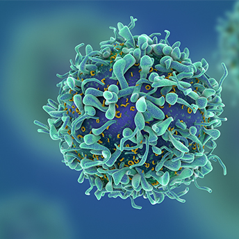 ChemSatin's profile picture. I’m a cancer cell, scroll down my feed to learn more about how nuclear chemistry is used to treat me:))