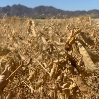 Brent Reck (@b87reck) 's Twitter Profile Photo