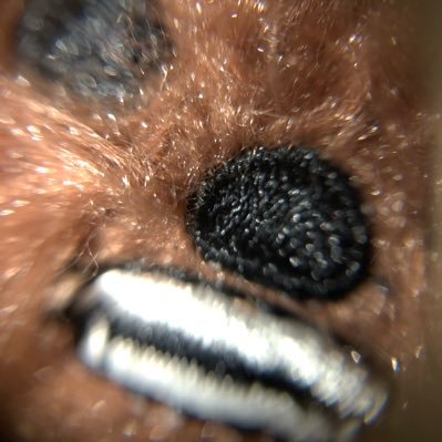 PixelGrinch's profile picture. Just being me!