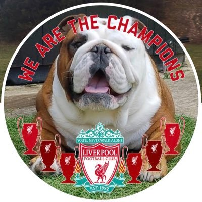 A bulldog red! lifelong Red , supporting them through thick and thin ! Always a believer ! YNWA