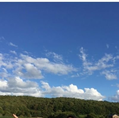 taekomyu's profile picture. NACS♡子猫よりの箱推しです♪福山雅治♡SixTONES♡相互フォローではありません。フォローの際は一言お願いします♪余り気がつかないので(^ｰ^*)