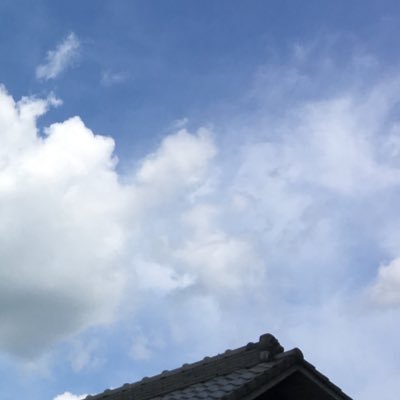 SCP-8900-EXさんのプロフィール画像