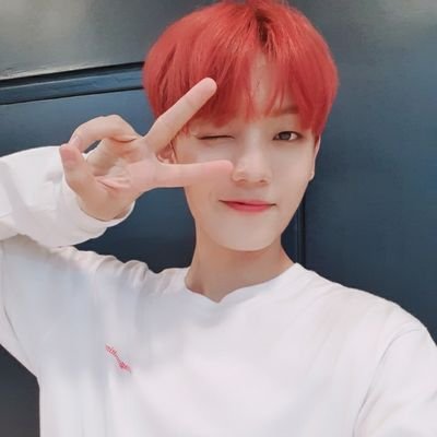 channiefairy's profile picture. just that brokeass fan that stan tons of grps 🤧